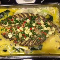 美食娱乐吃瓜视频下载