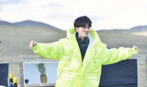 任嘉伦吃瓜娱乐,揭秘明星幕后趣事